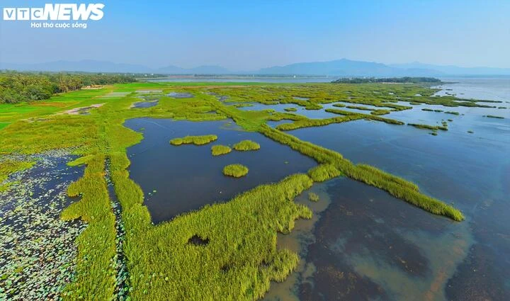 Cận cảnh vẻ ‘sơn thuỷ hữu tình’ Đầm Trà Ổ gần 5.700 ha ở Gia Lai Cận cảnh vẻ ‘sơn thuỷ hữu tình’ Đầm Trà Ổ gần 5.700 ha ở Gia Lai
