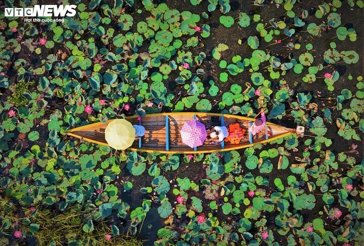 Cận cảnh vẻ ‘sơn thuỷ hữu tình’ Đầm Trà Ổ gần 5.700 ha ở Gia Lai Cận cảnh vẻ ‘sơn thuỷ hữu tình’ Đầm Trà Ổ gần 5.700 ha ở Gia Lai