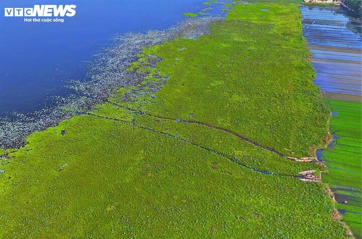 Cận cảnh vẻ ‘sơn thuỷ hữu tình’ Đầm Trà Ổ gần 5.700 ha ở Gia Lai Cận cảnh vẻ ‘sơn thuỷ hữu tình’ Đầm Trà Ổ gần 5.700 ha ở Gia Lai