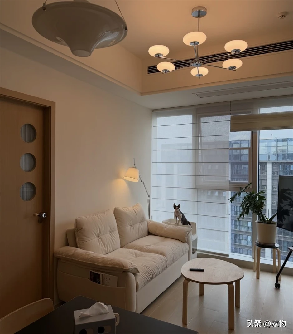 Căn hộ độc thân giờ dần mất sức hút: 6 lý do sống lâu mới thấm Căn hộ độc thân giờ dần mất sức hút: 6 lý do sống lâu mới thấm