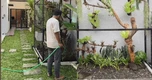 Căn nhà cho chim độc đáo của TikToker: Không gian xanh giá 6,5 triệu đồng