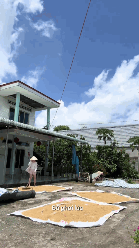 Căn nhà miền Tây khiến cõi mạng chóng mặt, quét dọn cả buổi vẫn chưa xong
