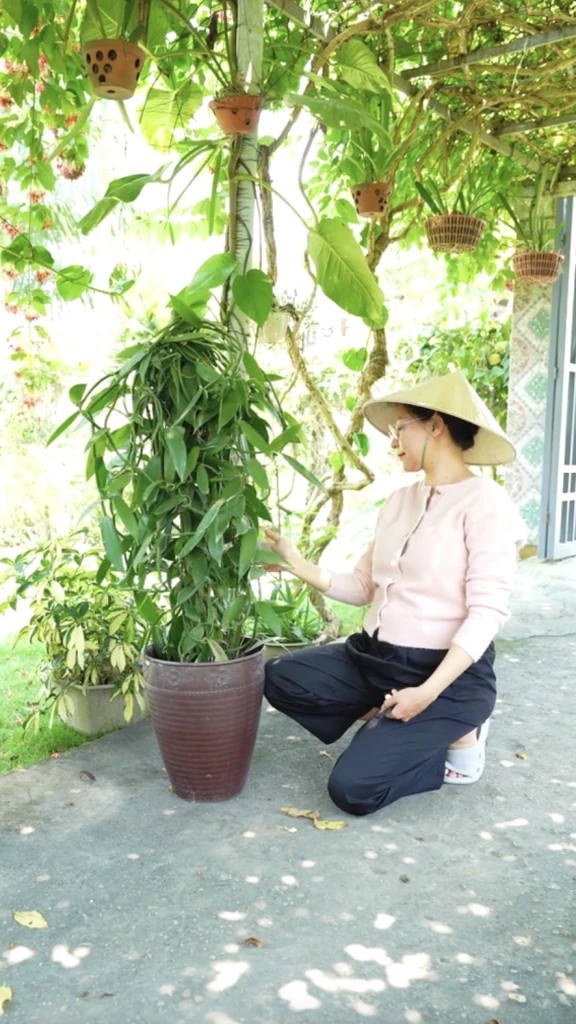 Căn nhà ở quê của Út Về Vườn Căn nhà ở quê của Út Về Vườn