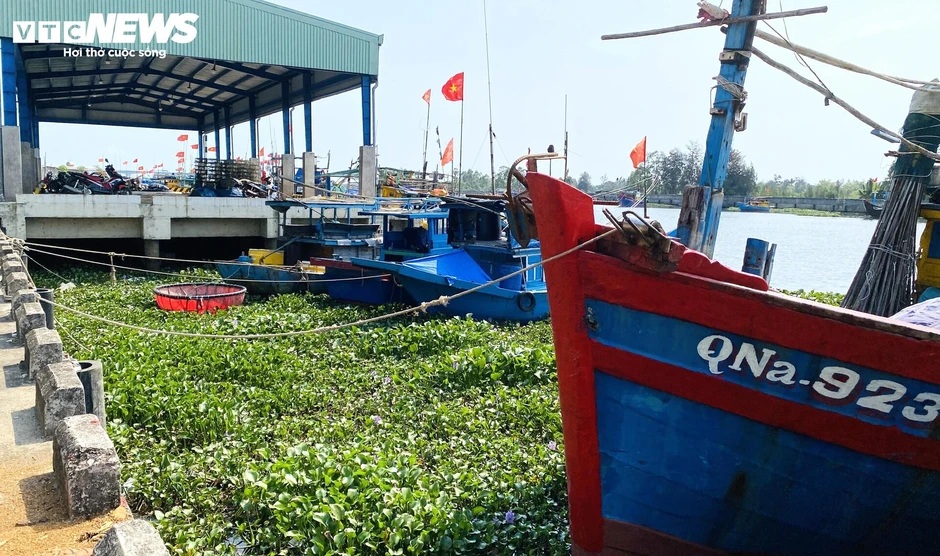 Cảng cá 120 tỷ xây xong 'chỉ để ngắm', ngư dân chờ hoài chẳng thấy cảnh bán buôn