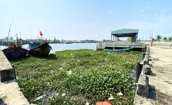 Cảng cá 120 tỷ xây xong 'chỉ để ngắm', ngư dân chờ hoài chẳng thấy cảnh bán buôn