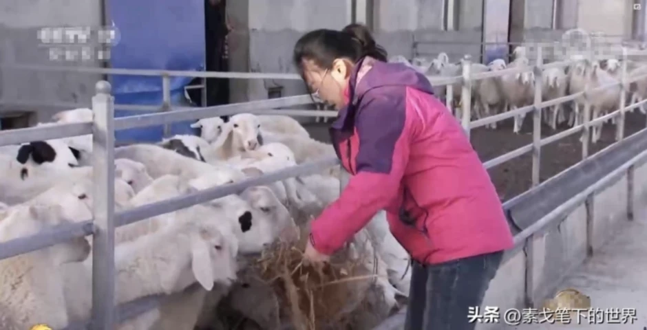 'Canh bạc' triệu đô đổi chuỗi cửa hàng điện máy lấy hoang mạc 'Canh bạc' triệu đô đổi chuỗi cửa hàng điện máy lấy hoang mạc