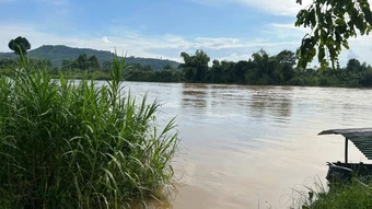 Cảnh báo lũ trên sông Đồng Nai và lũ quét, sạt lở đất tại Sơn La, Tuyên Quang
