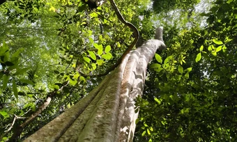 'Capture the Future' - sáng kiến người trẻ kể chuyện về thiên nhiên