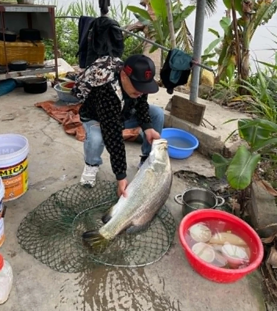 Câu trúng cá được ví "cọp nước" nặng 17kg, người dân bán ngay 5 triệu đồng Câu trúng cá được ví "cọp nước" nặng 17kg, người dân bán ngay 5 triệu đồng