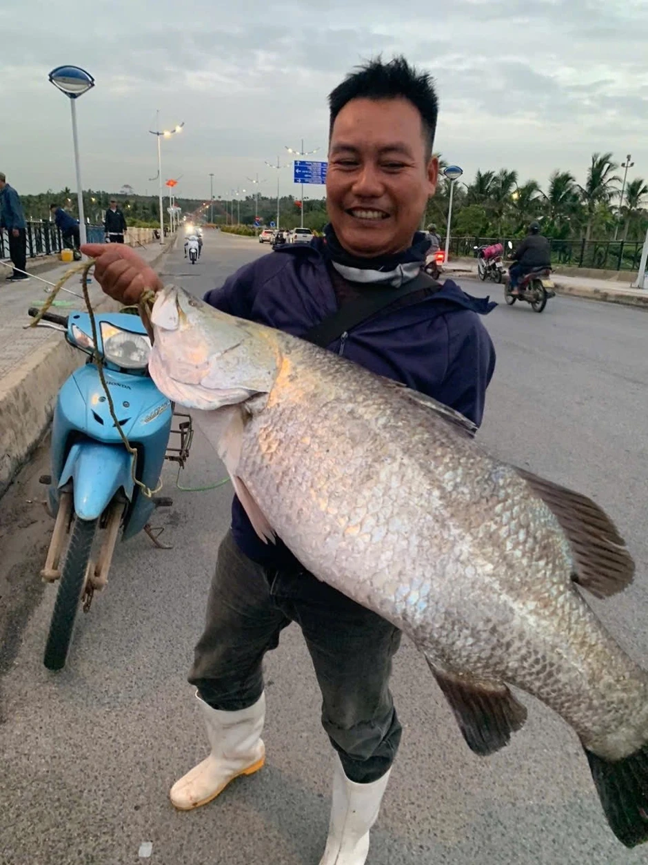 Câu trúng cá được ví "cọp nước" nặng 17kg, người dân bán ngay 5 triệu đồng Câu trúng cá được ví "cọp nước" nặng 17kg, người dân bán ngay 5 triệu đồng