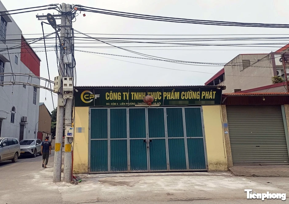 Chân dung công ty đưa thịt lợn bệnh vào nhiều trường học tại Hà Nội Chân dung công ty đưa thịt lợn bệnh vào nhiều trường học tại Hà Nội