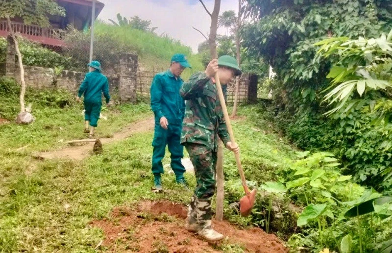 Chiềng Sinh huy động gần 1.600 người trồng cây phân tán Chiềng Sinh huy động gần 1.600 người trồng cây phân tán