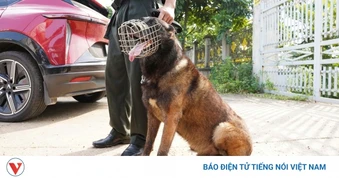 Chú chó nghiệp vụ tại điểm thi Tuyên Quang khiến cư dân mạng xôn xao