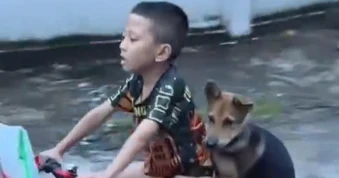 Chú chó ở Hải Phòng ôm chặt lưng bé trai khi được chở đi chơi bằng xe đạp