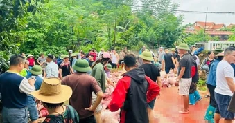 Chủ nhà Bắc Ninh xót xa vì 300 con lợn chết ngạt, cả làng cùng giải cứu