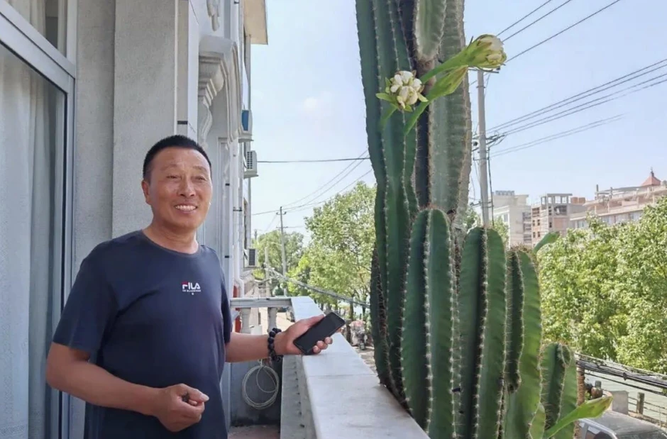 Chủ nhà ở Trung Quốc trồng cây xương rồng khổng lồ, cao đến ban công tầng 3 Chủ nhà ở Trung Quốc trồng cây xương rồng khổng lồ, cao đến ban công tầng 3