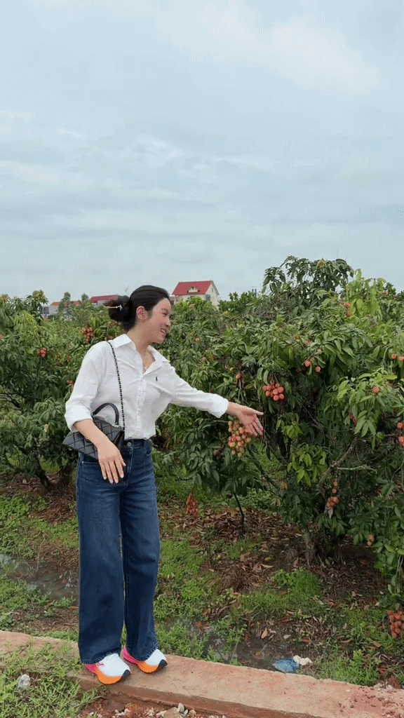 Chu Thanh Huyền gặp sự cố giữa vườn vải Chu Thanh Huyền gặp sự cố giữa vườn vải
