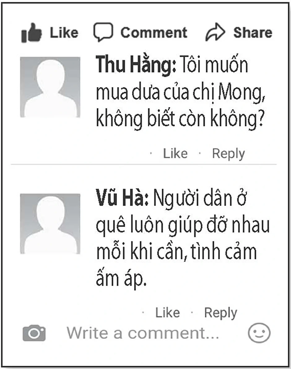 Chung sức bán 10 tấn dưa giúp người phụ nữ bị gãy chân Chung sức bán 10 tấn dưa giúp người phụ nữ bị gãy chân
