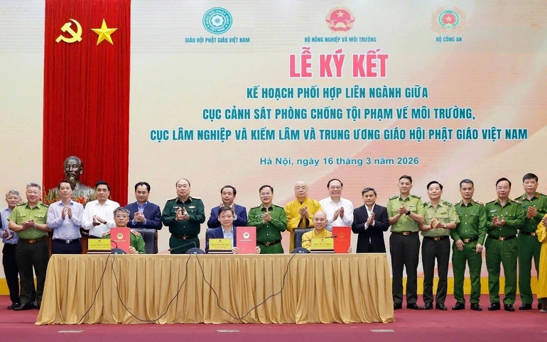 Chuyển biến trong kiểm tra, xử lý vi phạm về động vật hoang dã và nguồn lợi thủy sản Chuyển biến trong kiểm tra, xử lý vi phạm về động vật hoang dã và nguồn lợi thủy sản