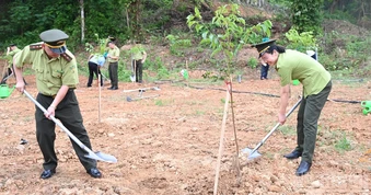 Chuyên gia: Cần coi đất là nguồn vốn tự nhiên được bảo vệ cho các thế hệ tương lai