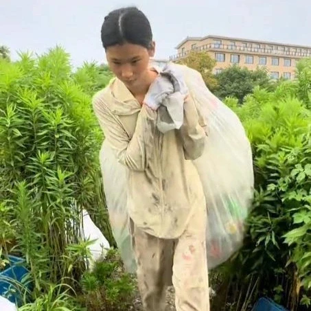 Cô gái làm nghề nhặt rác cao 1,81m, cuộc đời rẽ hướng sau một lời khen Cô gái làm nghề nhặt rác cao 1,81m, cuộc đời rẽ hướng sau một lời khen