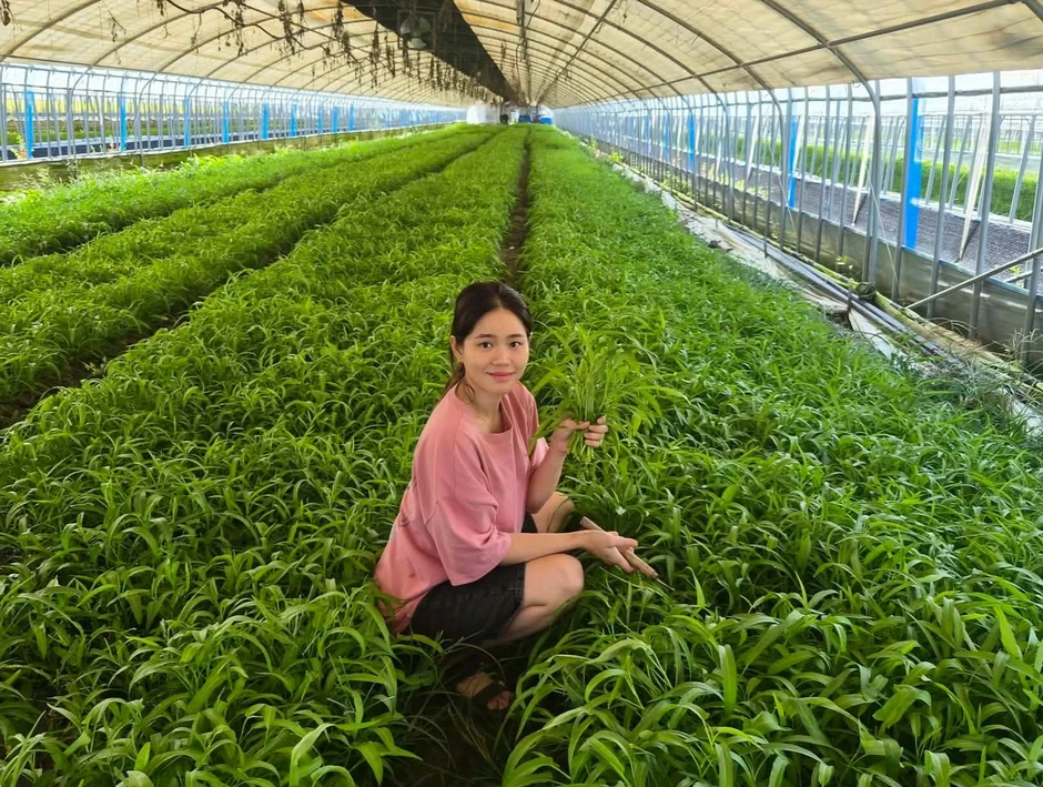 Cô gái Việt lên truyền hình Hàn, trồng rau muống kiếm trăm triệu đồng/tháng Cô gái Việt lên truyền hình Hàn, trồng rau muống kiếm trăm triệu đồng/tháng