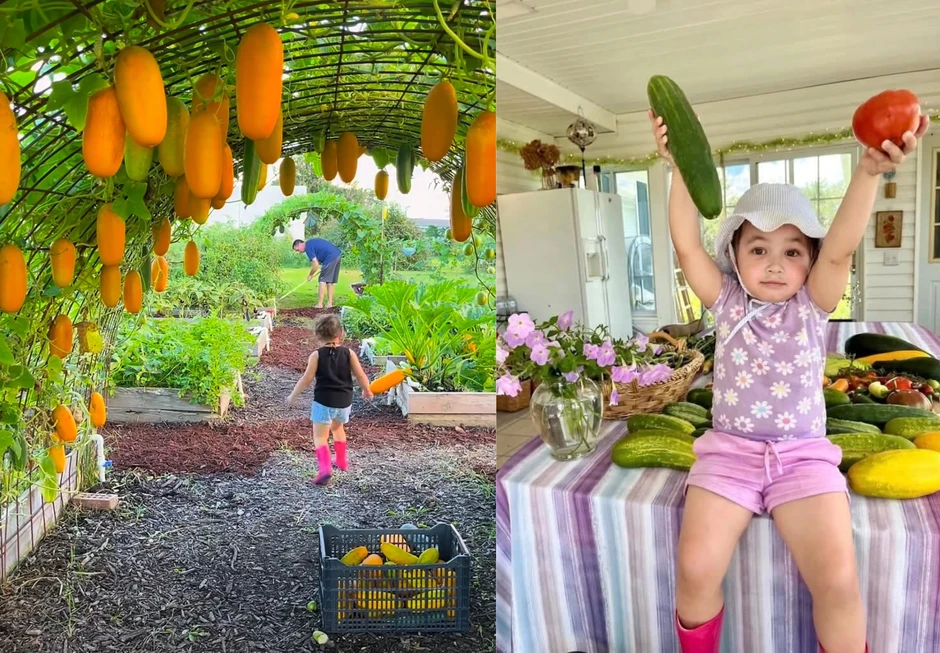 Cô gái Việt trồng rau, làm vườn 100m2 trên đất Mỹ để đỡ nhớ nhà Cô gái Việt trồng rau, làm vườn 100m2 trên đất Mỹ để đỡ nhớ nhà