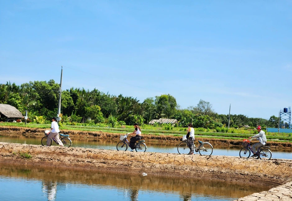 Cồn Chim, ốc đảo xinh đẹp vùng sông nước phương Nam Cồn Chim, ốc đảo xinh đẹp vùng sông nước phương Nam