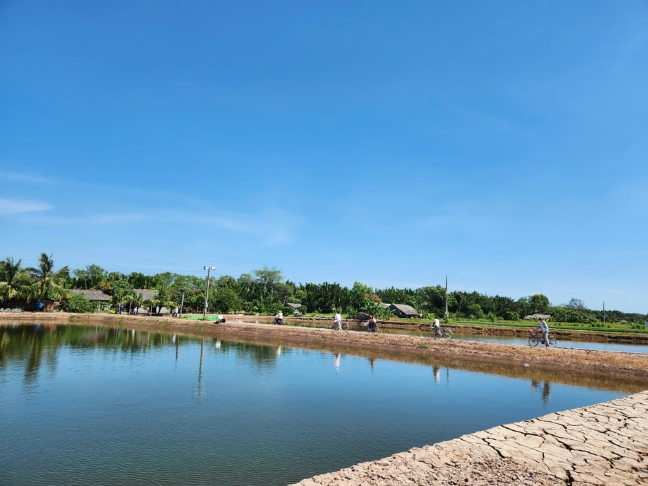 Cồn Chim, ốc đảo xinh đẹp vùng sông nước phương Nam Cồn Chim, ốc đảo xinh đẹp vùng sông nước phương Nam