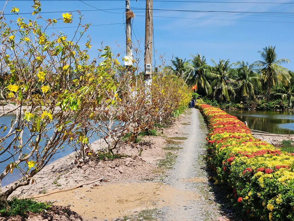 Cồn Chim, ốc đảo xinh đẹp vùng sông nước phương Nam Cồn Chim, ốc đảo xinh đẹp vùng sông nước phương Nam