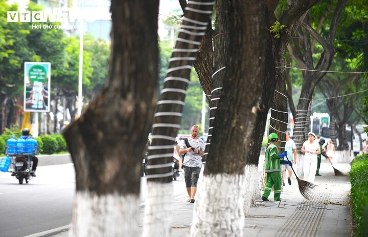 Công trình chắn biển được tháo dỡ, đường ven biển Nha Trang khoe diện mạo mới Công trình chắn biển được tháo dỡ, đường ven biển Nha Trang khoe diện mạo mới