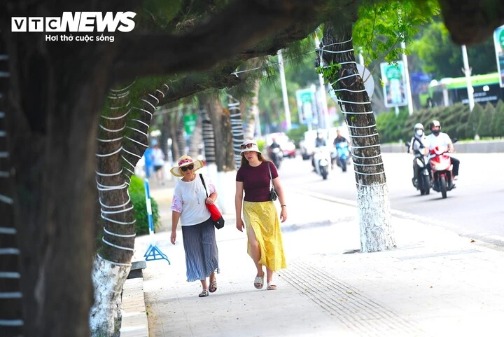 Công trình chắn biển được tháo dỡ, đường ven biển Nha Trang khoe diện mạo mới Công trình chắn biển được tháo dỡ, đường ven biển Nha Trang khoe diện mạo mới