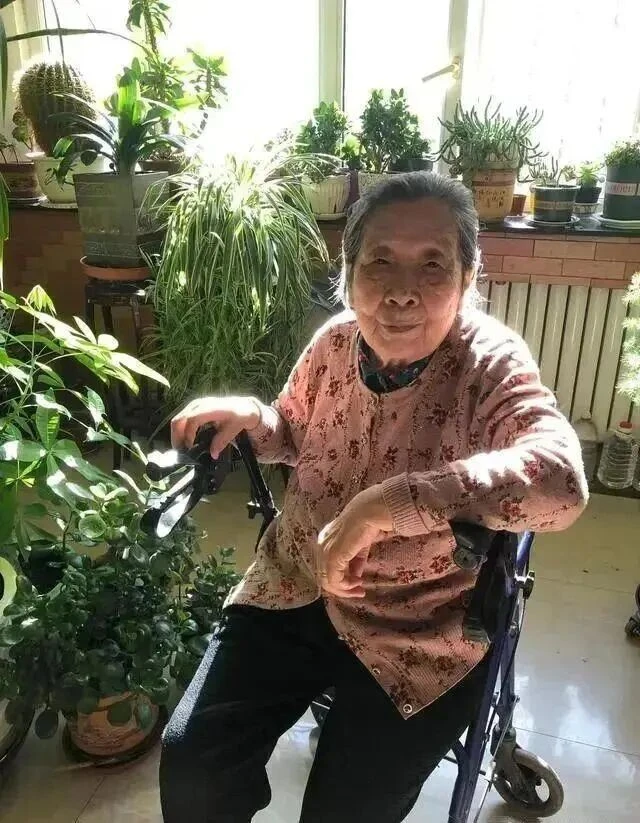 Cụ bà 94 tuổi sống tự tại với 300.000 người hâm mộ và những bức tranh đẹp