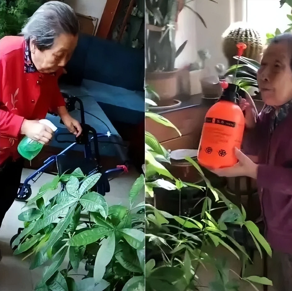 Cụ bà 94 tuổi sống tự tại với 300.000 người hâm mộ và những bức tranh đẹp