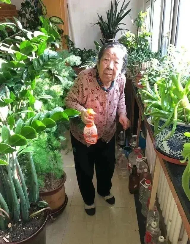 Cụ bà 94 tuổi sống tự tại với 300.000 người hâm mộ và những bức tranh đẹp