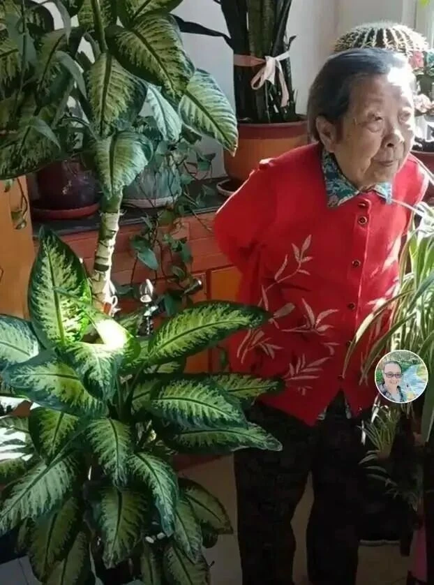 Cụ bà 94 tuổi sống tự tại với 300.000 người hâm mộ và những bức tranh đẹp