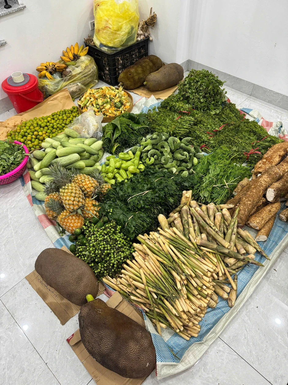 Cử nhân Luật bỏ việc về bán rau, chồng cũng nghỉ làm ở nhà phụ vợ Cử nhân Luật bỏ việc về bán rau, chồng cũng nghỉ làm ở nhà phụ vợ