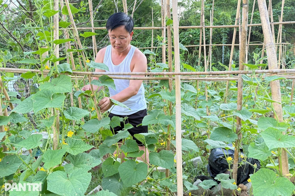 Cuộc sống sau giờ làm "trồng rau, bắt cá" của Bí thư xã vùng biên giới Cuộc sống sau giờ làm "trồng rau, bắt cá" của Bí thư xã vùng biên giới