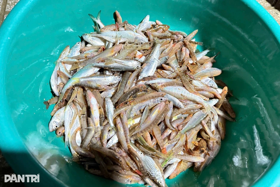 Cuộc sống sau giờ làm "trồng rau, bắt cá" của Bí thư xã vùng biên giới Cuộc sống sau giờ làm "trồng rau, bắt cá" của Bí thư xã vùng biên giới