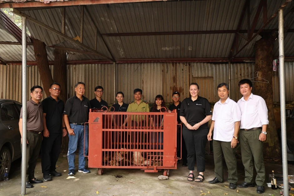 Cứu hộ thành công một cá thể gấu ngựa từ Hà Nội về Trung tâm cứu hộ Gấu Việt Nam ở Huế Cứu hộ thành công một cá thể gấu ngựa từ Hà Nội về Trung tâm cứu hộ Gấu Việt Nam ở Huế