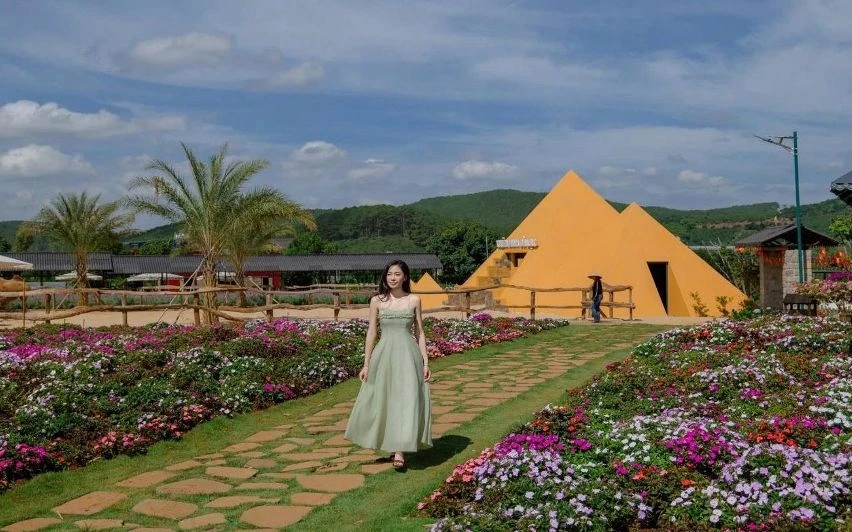 Đà Lạt kể câu chuyện bằng sắc hoa Đà Lạt kể câu chuyện bằng sắc hoa