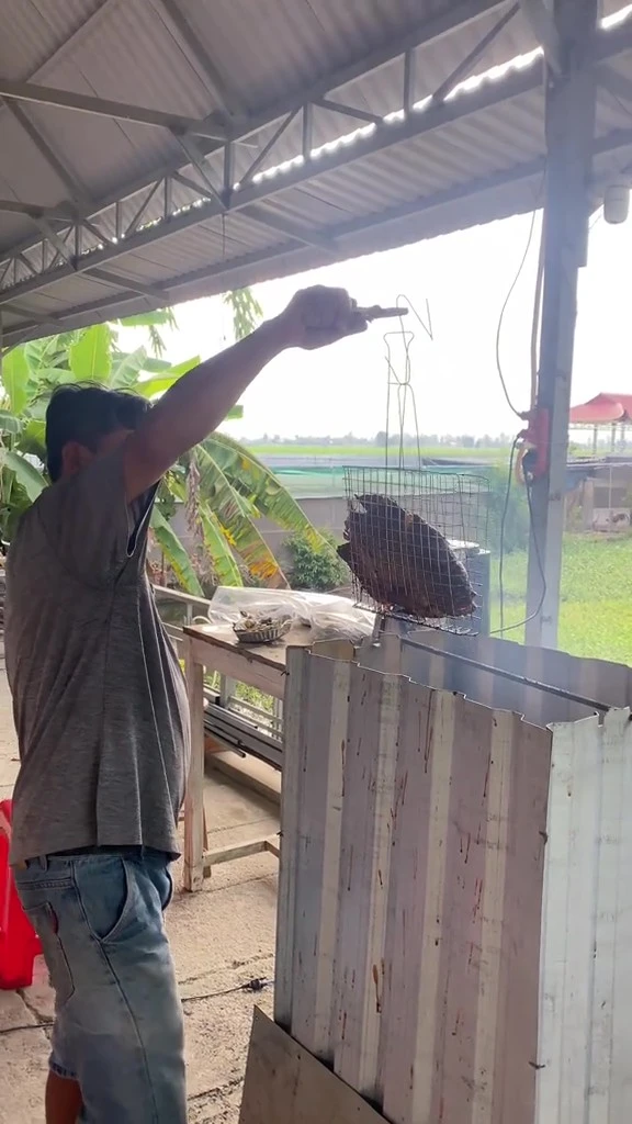 Đám giỗ miền Tây đẳng cấp với "lẩu băng chuyền" tự chế 50 người ăn cùng lúc: Chủ nhà nói gì về chi tiết dễ gặp sự cố? Đám giỗ miền Tây đẳng cấp với "lẩu băng chuyền" tự chế 50 người ăn cùng lúc: Chủ nhà nói gì về chi tiết dễ gặp sự cố?