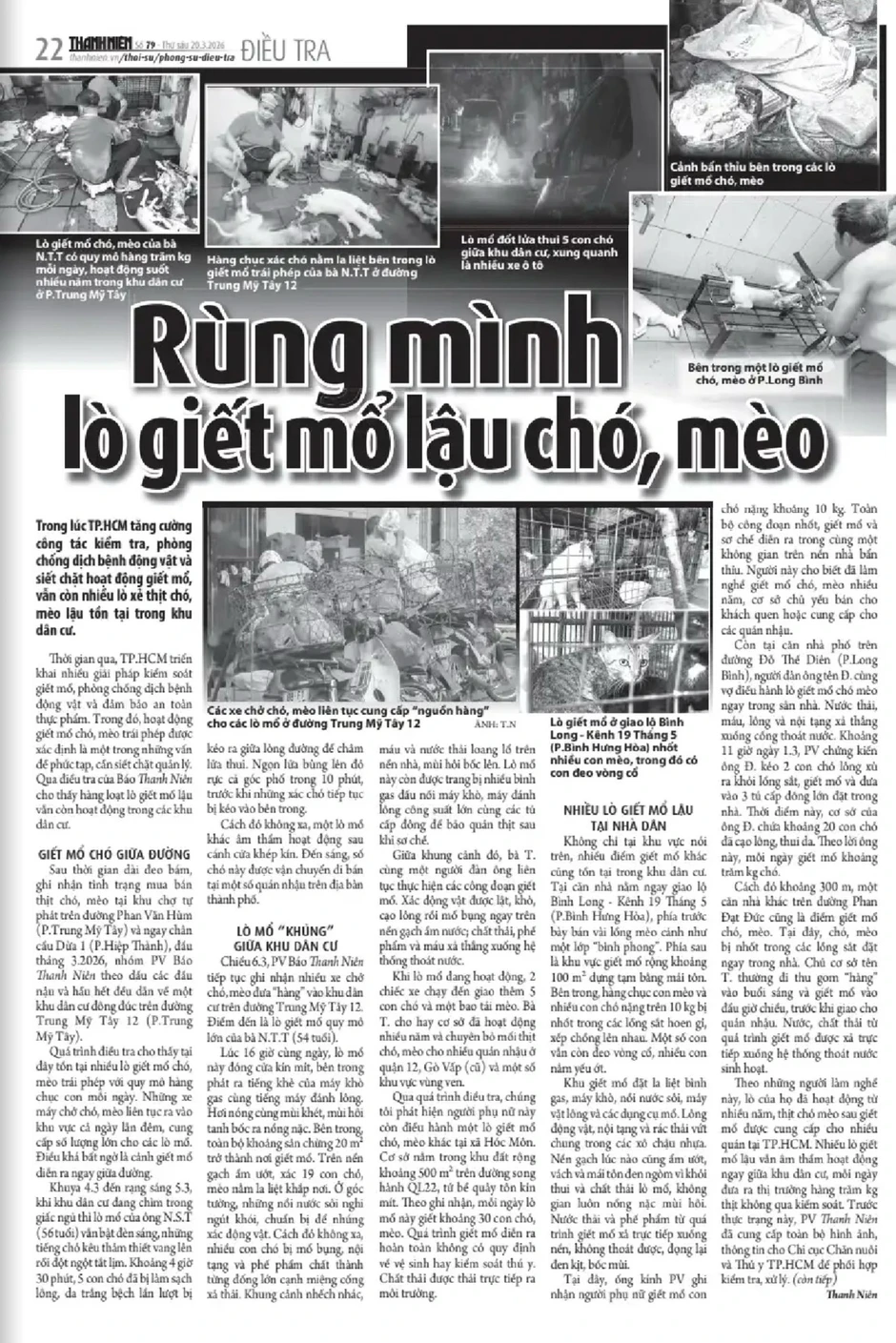 Dân mạng kêu gọi hạn chế tiêu thụ thịt chó mèo Dân mạng kêu gọi hạn chế tiêu thụ thịt chó mèo