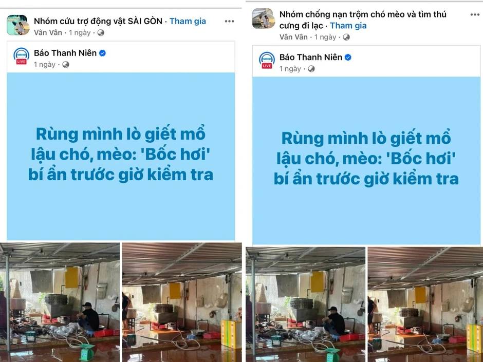 Dân mạng kêu gọi hạn chế tiêu thụ thịt chó mèo Dân mạng kêu gọi hạn chế tiêu thụ thịt chó mèo