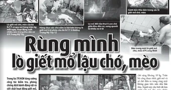 Dân mạng kêu gọi hạn chế tiêu thụ thịt chó mèo
