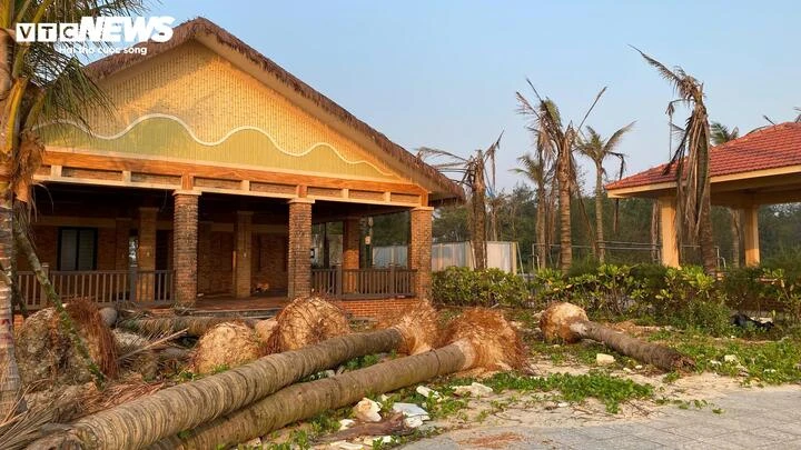 Dân ven biển Quảng Trị tiếc nuối nhìn dự án bãi tắm gần 260 tỷ 'đắp chiếu' Dân ven biển Quảng Trị tiếc nuối nhìn dự án bãi tắm gần 260 tỷ 'đắp chiếu'