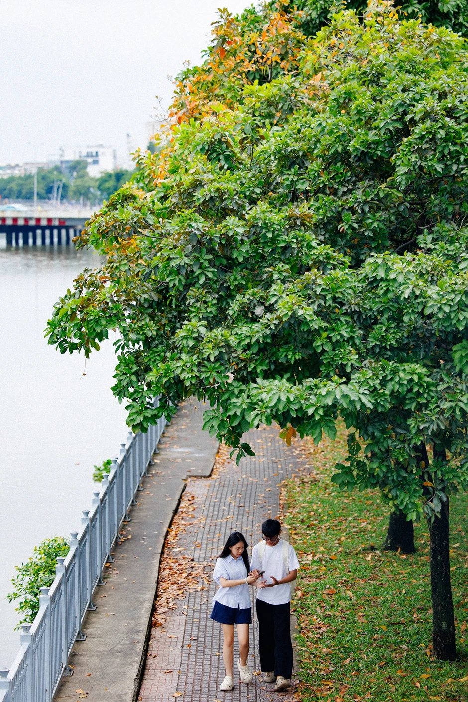 Dậy từ 5 giờ sáng ra kênh Nhiêu Lộc - Thị Nghè săn lá vàng, giới trẻ TP.HCM đang tận hưởng "mùa thu" vô cùng hiếm có Dậy từ 5 giờ sáng ra kênh Nhiêu Lộc - Thị Nghè săn lá vàng, giới trẻ TP.HCM đang tận hưởng "mùa thu" vô cùng hiếm có
