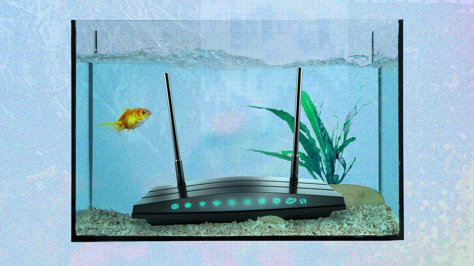 Đồ vật ít ai ngờ tới có thể khiến Wi-Fi trong nhà yếu đi Đồ vật ít ai ngờ tới có thể khiến Wi-Fi trong nhà yếu đi