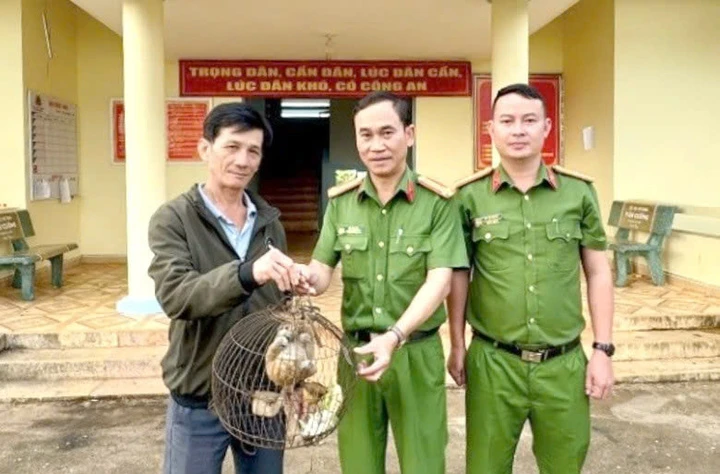Dọn nhà, người đàn ông ở Lâm Đồng phát hiện con vật có tên trong sách đỏ