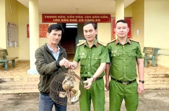 Dọn nhà, người đàn ông ở Lâm Đồng phát hiện con vật có tên trong sách đỏ